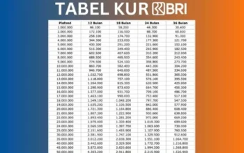 Syarat dan Cara Mudah Mengajukan KUR BRI Agustus 2025 untuk Usaha, Proses Cair Lebih Cepat