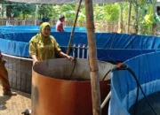 Kantor Kepala Desa Bowong Cindea Dikelilingi Aktivitas Dan Lahan Serba Manfaat