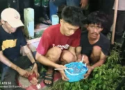 Peluru Bersarang di Kepala, Rumah Dibakar; Aparat Blokade Total Sapiria–Borta