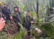 Jatuh Bangun di Medan Ekstrem Bulusaraung, Tim SAR Kodam XIV/Hasanuddin Temukan Enam Korban ATR 42-500