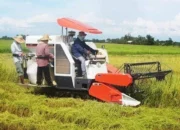 ASN Kecamatan Diduga Jual Alsintan Bermasalah, Gunakan Stempel Negara, Petani Rugi Ratusan Juga