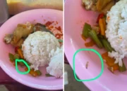 Program Makan Gratis Tercoreng: Temuan Ulat dan Dugaan Intimidasi Pengelola