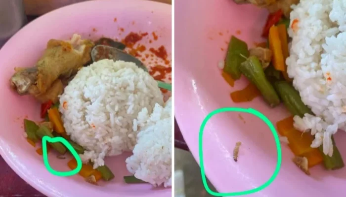 Program Makan Gratis Tercoreng: Temuan Ulat dan Dugaan Intimidasi Pengelola